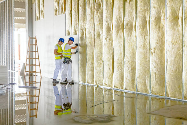 Best Spray Foam Insulation in Deer Park, TX